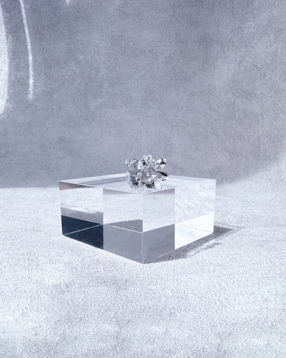 戒指｜Little Garden